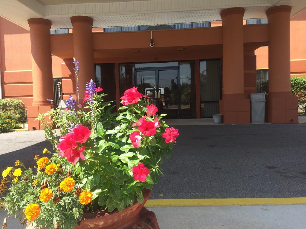 Luxury Suites Ferry Pass Εξωτερικό φωτογραφία